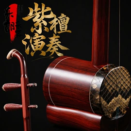 弹拨类乐器;拉弦类乐器;乐器配件