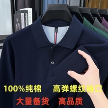 ��Ʒ�����L��t���з��I2025�����w��������ʿ���e����polo�����lT