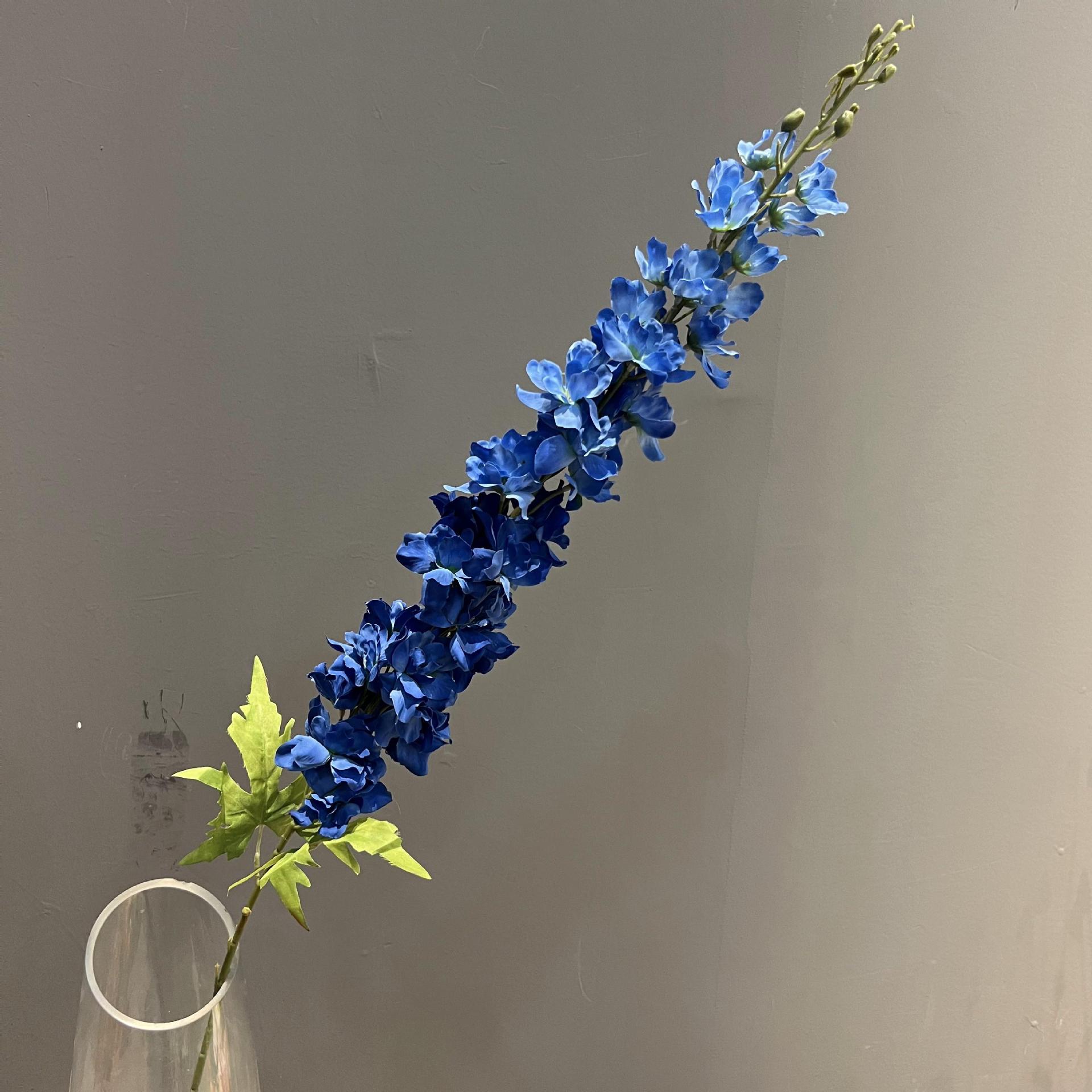 큰 비행 제비