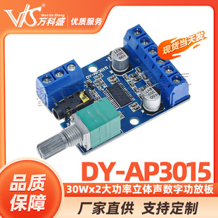 30Wx2�������w���ֹ��Ű�12V/24V���DIY����ģ�K DY-AP3015