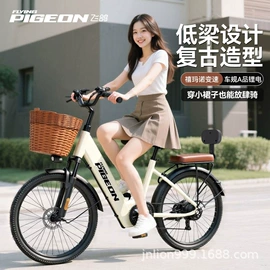 电动自行车;电动三轮车;其他电动车