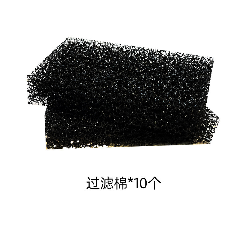 亀のかめの日焼け台は台に登ります。|undefined