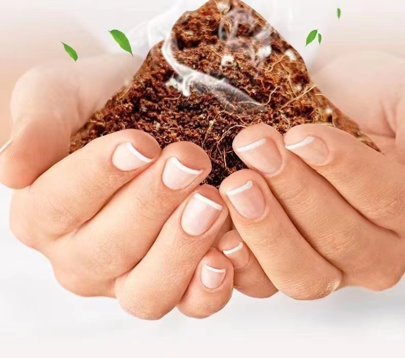 8da2b54c-0466-4426-b7f2-66725cc183db.jpe