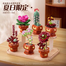 ��R113ϵ32��С�w���eľ������ģ�͔[��diyƴ��ֲ�ﻨ�ܷeľ���