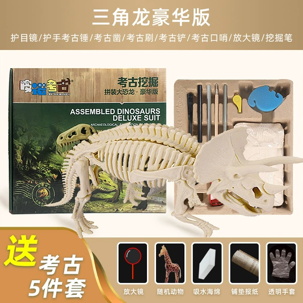 Deluxe Edition-Triangle Dragon LT-05
