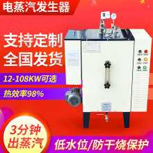 全自动小型电热蒸汽发生器,电蒸汽锅炉 厂家直销24kw