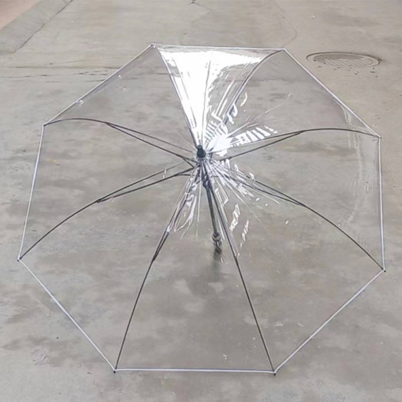 透明伞3