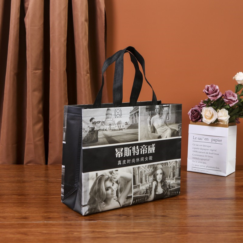 无纺布袋时尚女鞋商场购物袋环保教育打包礼品袋可加印定制LOGO