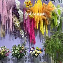 ������������z�Ƶ��Y��픴������˜I�Ғ챳����ܛ�b��Y�û���