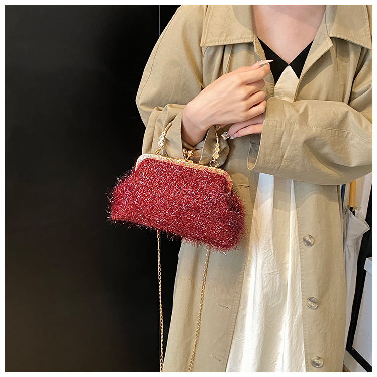 A trendy and fashionable women's 2024 autumn new chain crossbody bag, a Korean-style hand-held shell bag undefined