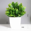 Sword orchid leaf pot