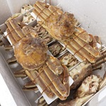 批发板蟹松叶蟹雪蟹长脚蟹冷冻海鲜酒楼寿司商用2-3斤只