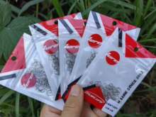 ·���e� ���J�̈́e� ���D�B����304���P������e��D�h·���D