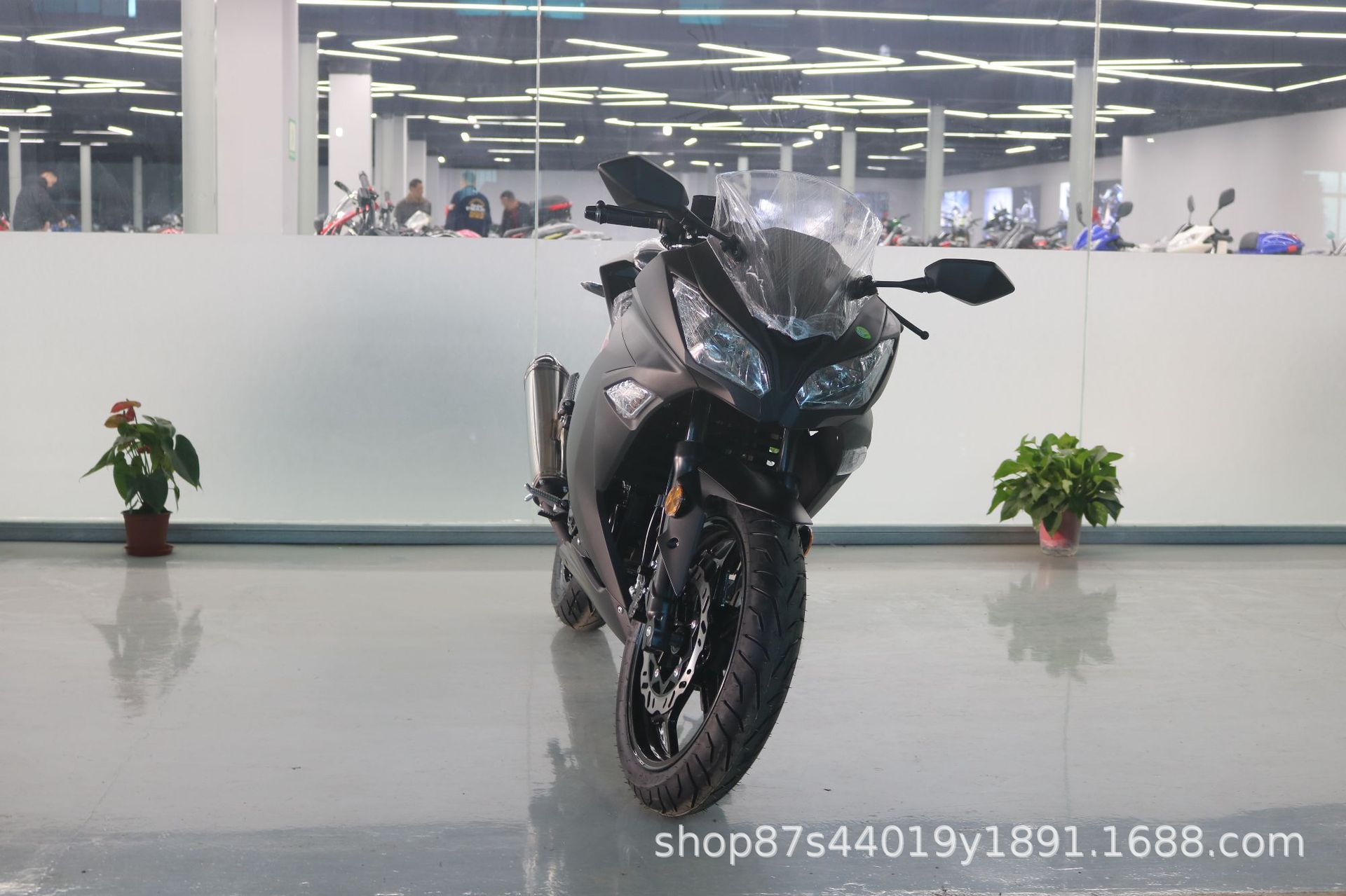 License-able motorcycle Kawasaki Ninja, twin-cylinder racing replica, Horizon sportbike, adult gasoline-powered sportbike, complete vehicle