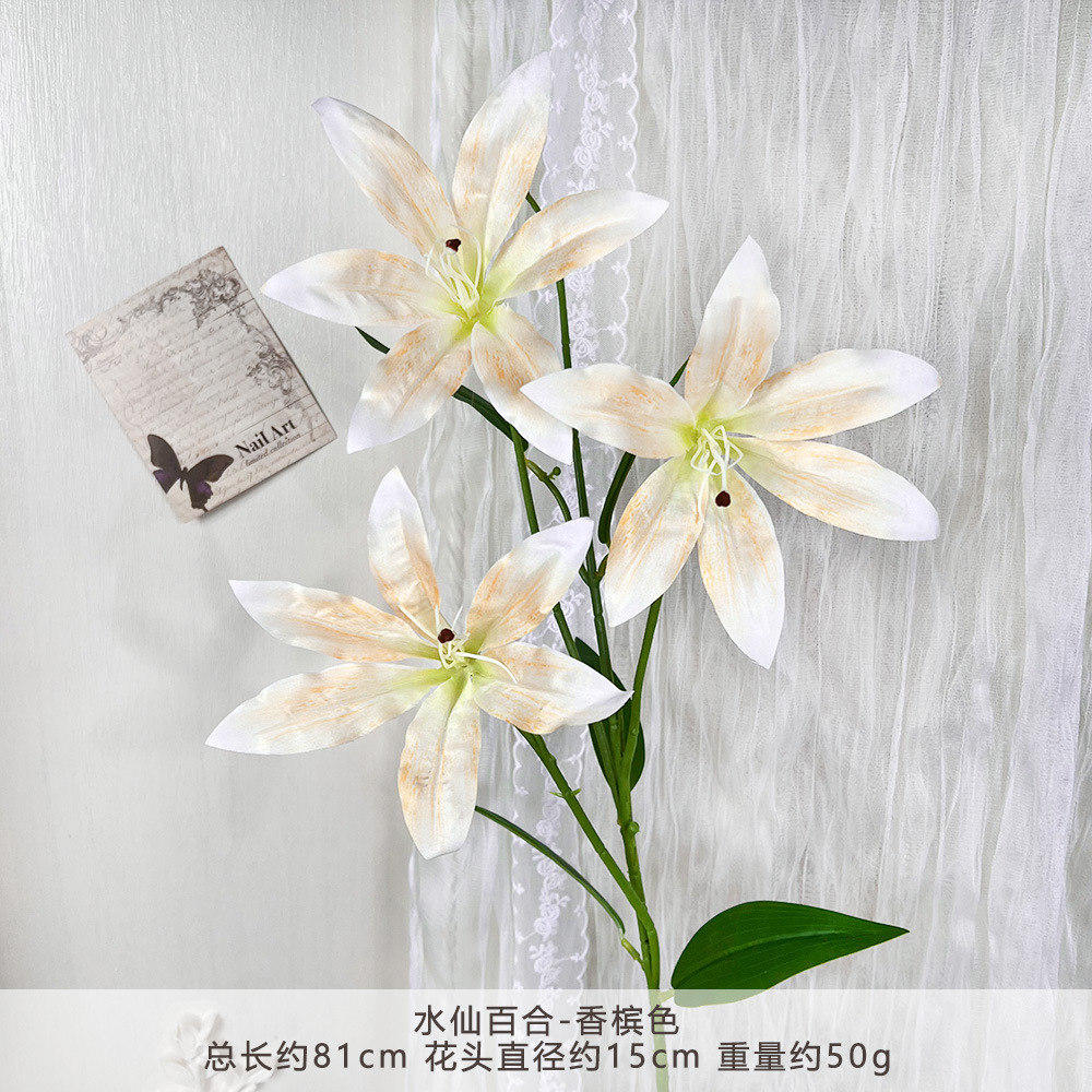 YG-水仙百合-香槟