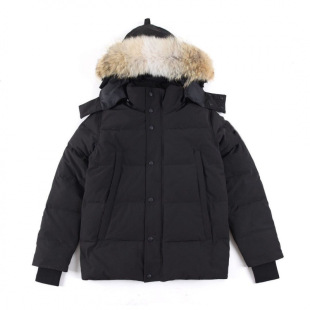 Cross-Border Export Big Goose down Jacket Wyndham29 down Jacket White Duck down 3808m