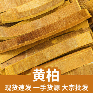 �S�����l ��Ƥ���S�� ȥƤ�S��500�� ��ș�� ����ă�