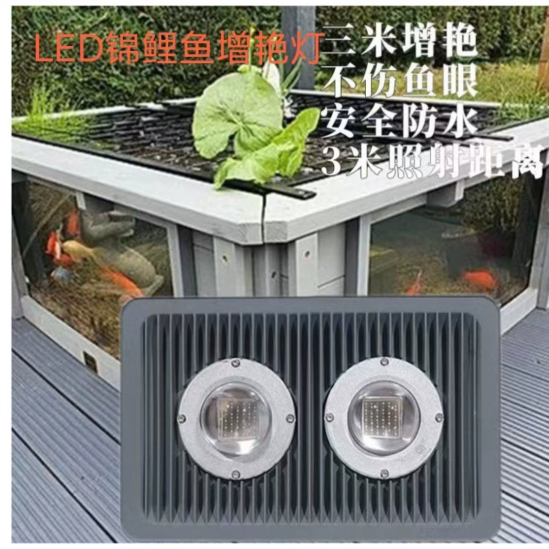 Открытый парк Карп Пруд Большая комнатная и наружная рыбная ферма