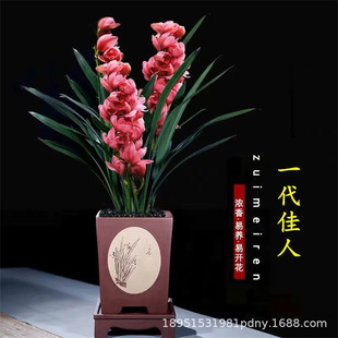 �ļ������m���紺�m��÷�ϰ˷N���@���֝����ʹ��������҃Ȼ���