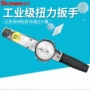 扭力m100nm200n带表扳手