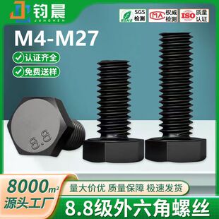 8.8���ߏ����������ݽz��ɫ�����^���L�����˨M4M6M8M10M12M27