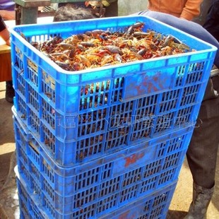 �����˳����B���r�� ��ˮС���r�� ���½��� �r��С���r�����l