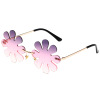 Lens solar-powered, glasses suitable for photo sessions, 2023 collection, flowered, graduation party