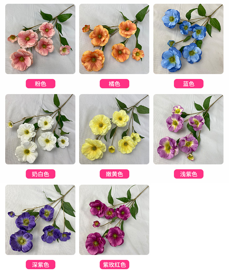 产品颜色 (1).jpg