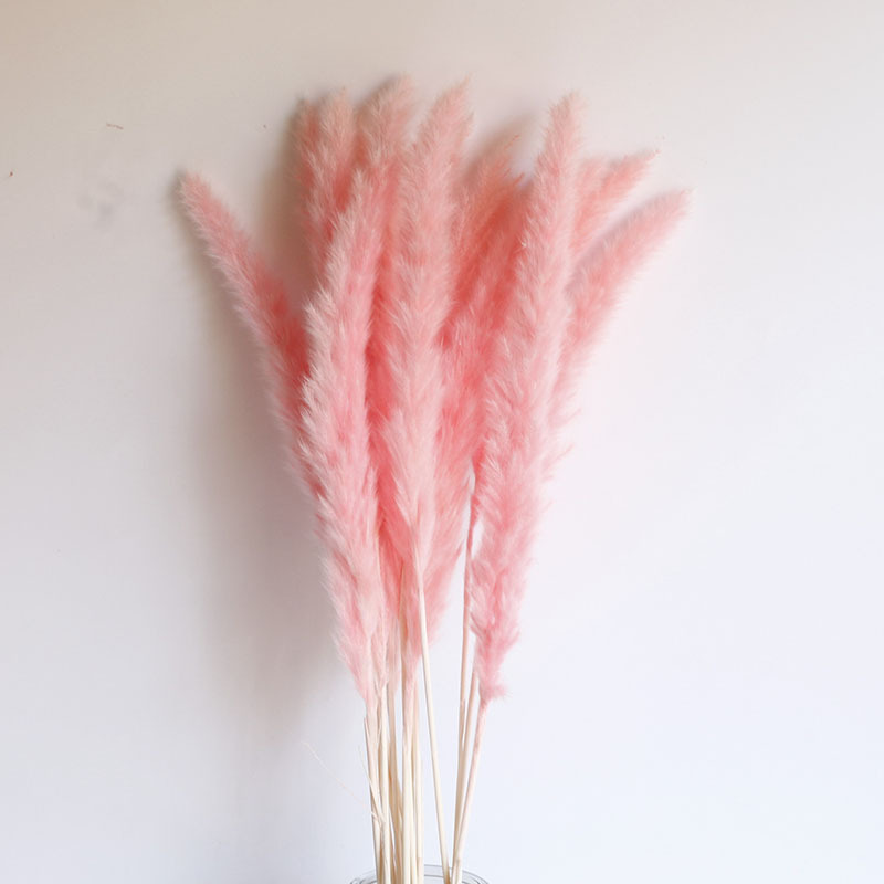 Flor seca Flor eterna Gypsophila Bola de oro No me olvides Flor seca Rosa hoja de eucalipto Pine Fruit Lover Grass al por mayor