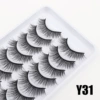 Y31