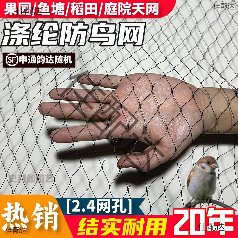 大棚专用防鸟网黑色涤纶果树防护网养殖鱼塘果园农田拦鸟天网批发