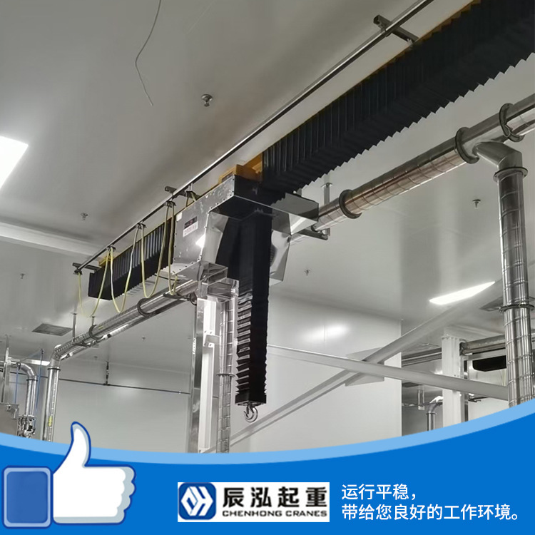 クリーンクレーンクリーンルーム走行浄化作業場航吊天車医薬半導体ステンレス龍門吊|undefined
