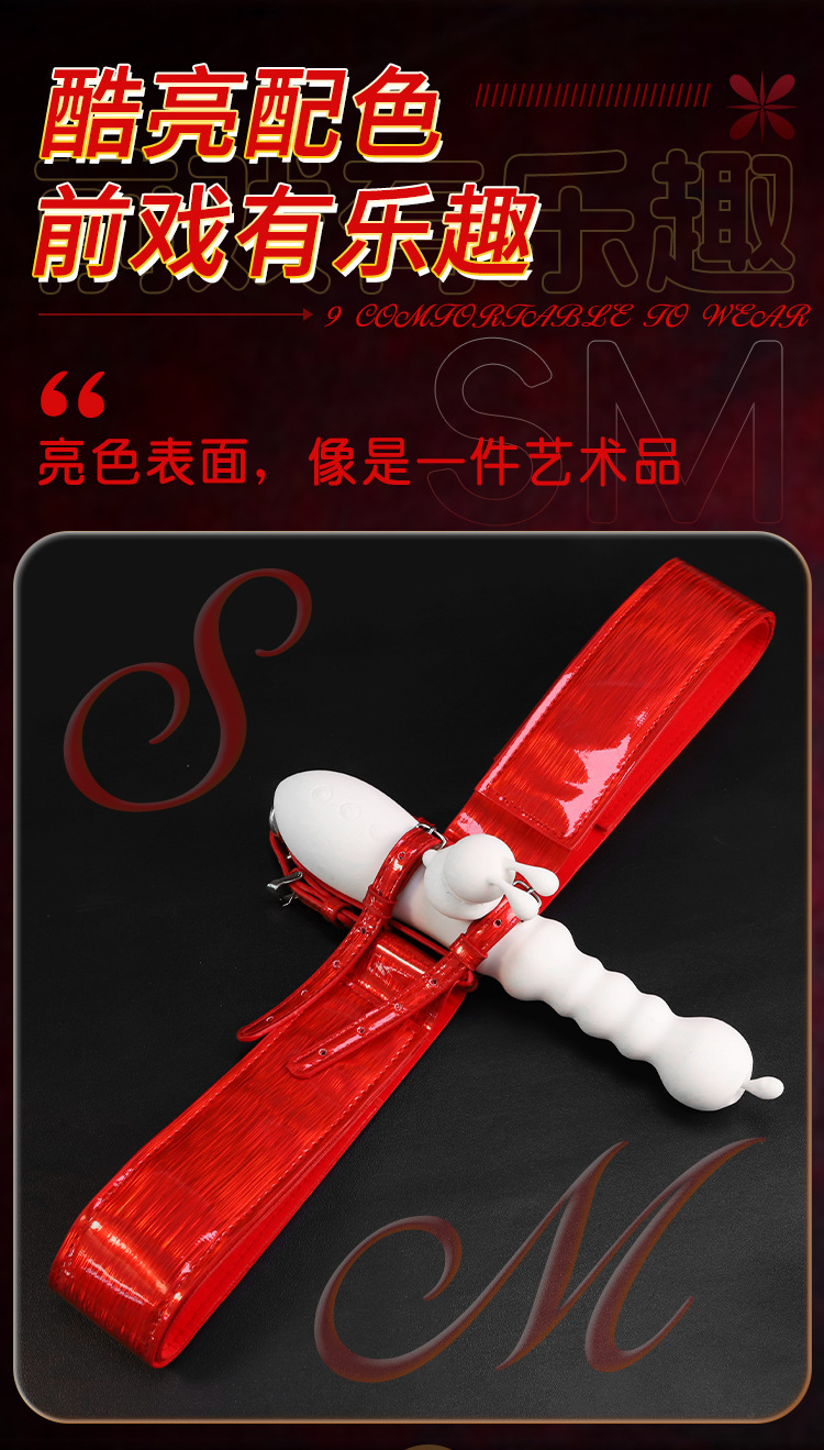Wearable Dildo Cover with Strap-On Harness for Couples — detail image 12