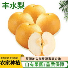 ɽ|Sˮl3/9rժSˮƤ֭ЋDˮSˮ