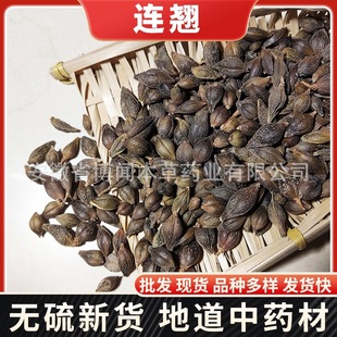 连翘中药材批发青翘贯叶连翘落翘新货量大从优-阿里巴巴