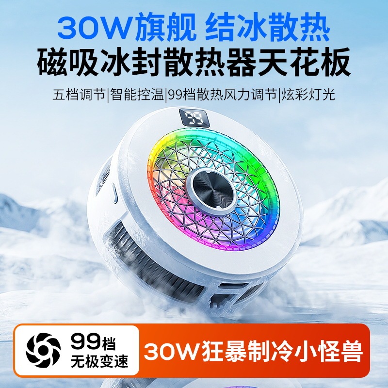 2026 New Product Tx01 High-Power 30W Ice-Cooling Mobile Phone Radiator with Intelligent Temperature Control and Magnetic Suction Digital Display Cooler 2026 New Product Tx01 High-Power 30W Ice-Cooling Mobile Phone Radiator with Intelligent Temperature Control and Magnetic Suction Digital Display Cooler