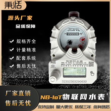 NB-IoT/4G智能远传物联网水表 防潮防水 地坑安装