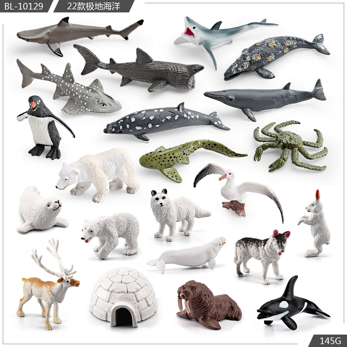 Exportación transfronteriza simulación modelo de animales polares mini animales de invierno ártico beluga morsa cognición educación temprana decoración