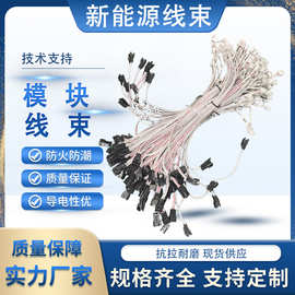 新能源线束国标铜芯阻燃特软硅胶线插头工业机器人采集线束定制