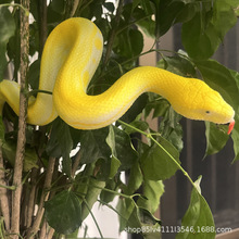 ����TPRܛ�z���R�ߴ����β���S��������ģ���f�}�����M�[�����