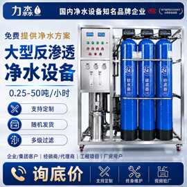 工业水处理设备去离子ro去离子反渗透商用净水器净化水纯水直饮水