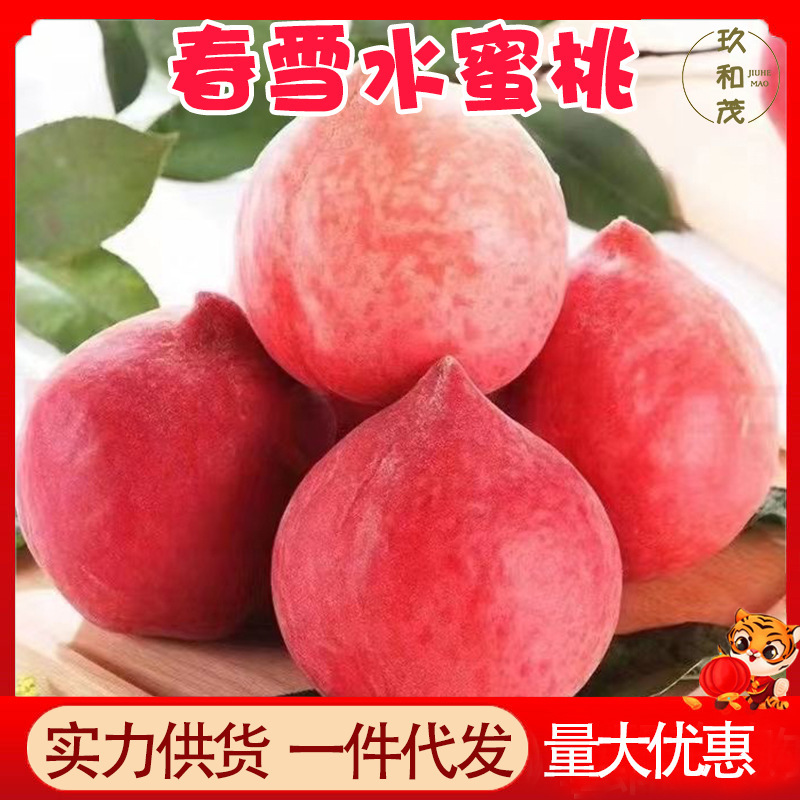 Authentic Freshly Picked Spring Snow Peaches 2.5kg Whole Box Fresh Seasonal Fruit for Pregnant Women Wholesale Free Shipping 1.5kg Peaches