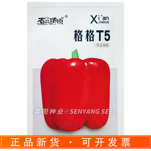 �頖˹�D ���T5�����N��������\������t�A�����������＾�ʽ�