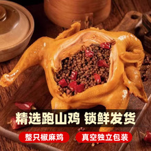 椒麻鸡整只即食正宗山东特产麻椒鸡手撕真空熟食德州藤椒烧鸡零食
