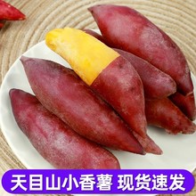 ��ĿɽС��������ָ�t�����r���S�ķ���ɳ�ذ����عϷ���-5�����l