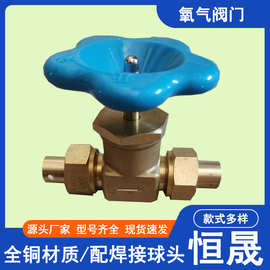 氧气阀门设备带 气体阀门氧气法兰管道减压阀门 中心供氧系统配件