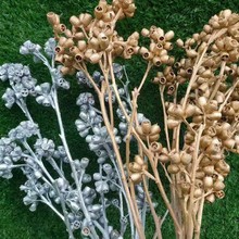 �ȼ������ɻ����������Ҿ��b��ƹ�ɭϵ�滨��ɫ�yɫ�}�Q��