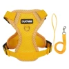 Simple model yellow