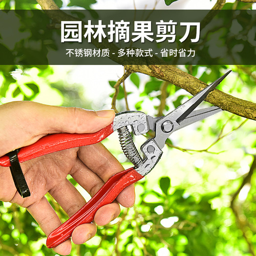 Stainless steel pruning shears, grape pruners, garden fruit pruners, flower branch pruners, citrus, vegetable and fruit picking pruners