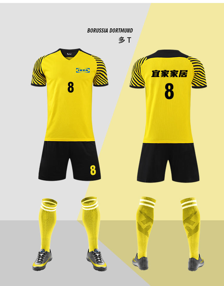 22带队徽(飞德纳)_08